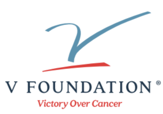 V Foundation Logo