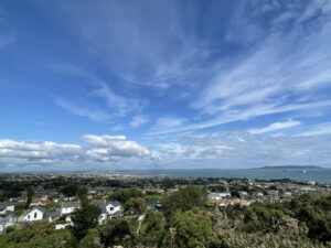 blue sky with wispy clouds, overlooking a green trees and houses