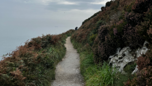 path through green, seaside cliffs in ireland