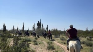 desert horse ride with cactus and blue sky