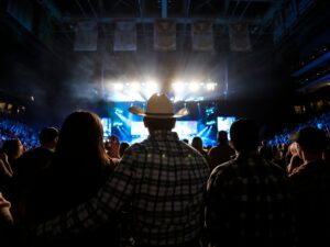 fans watching a country music concert