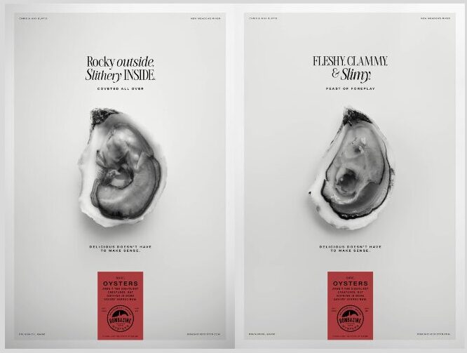 oysters